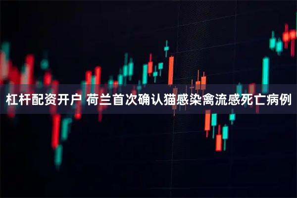 杠杆配资开户 荷兰首次确认猫感染禽流感死亡病例