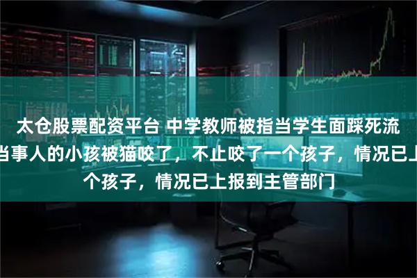 太仓股票配资平台 中学教师被指当学生面踩死流浪猫，学校：当事人的小孩被猫咬了，不止咬了一个孩子，情况已上报到主管部门