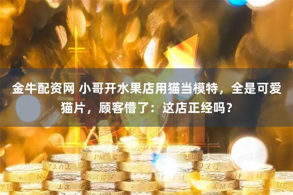 金牛配资网 小哥开水果店用猫当模特，全是可爱猫片，顾客懵了：这店正经吗？