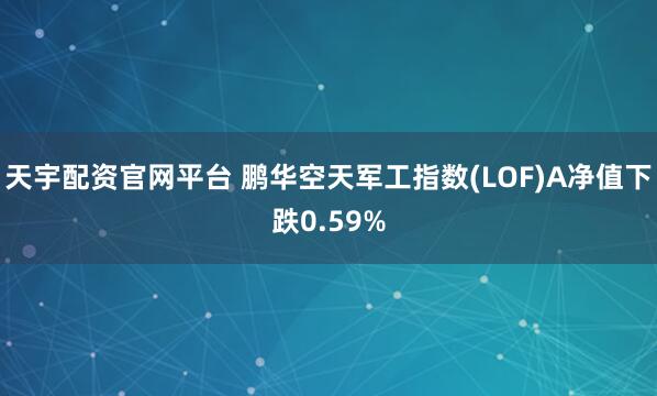 天宇配资官网平台 鹏华空天军工指数(LOF)A净值下跌0.59%