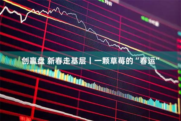 创赢盘 新春走基层丨一颗草莓的“春运”