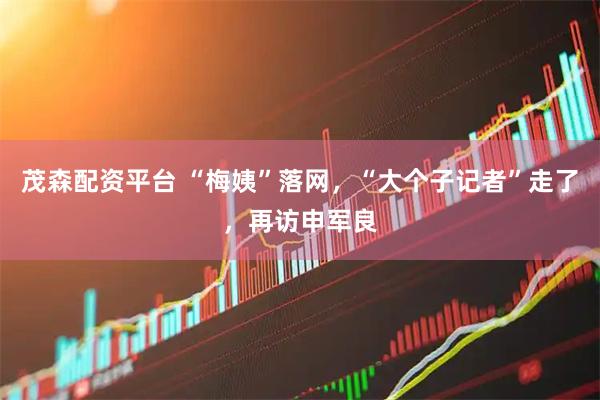 茂森配资平台 “梅姨”落网，“大个子记者”走了，再访申军良